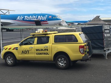 MARWIS on Fa'a'ā International Airport Tahiti Water Film Heights