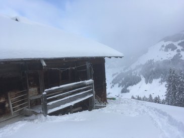 FIS snow world cup in Adelboden Switzerland Januar 2019 Lufft SHM31 snow depth sensor